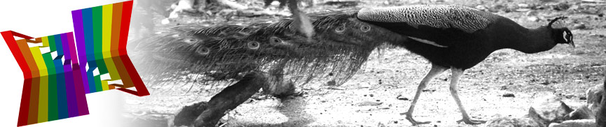 Random header image... Refresh for more!